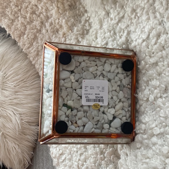 New succulent glass dome decor - Picture 6 of 6